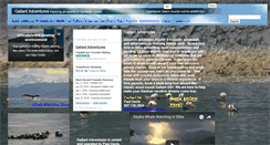 Desktop Screenshot of gallantadventures.com